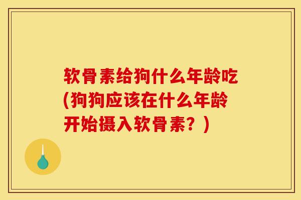 软骨素给狗什么年龄吃(狗狗应该在什么年龄开始摄入软骨素？)