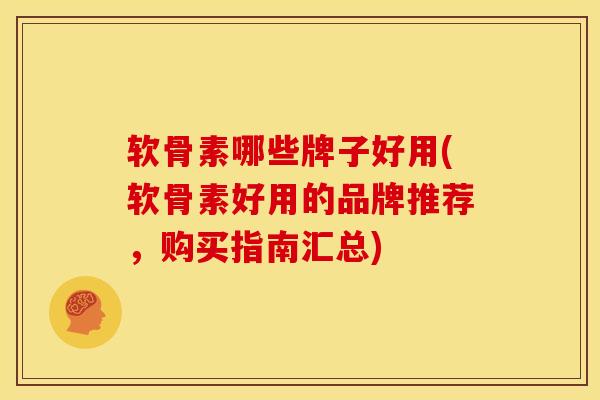 软骨素哪些牌子好用(软骨素好用的品牌推荐，购买指南汇总)