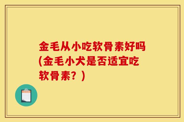 金毛从小吃软骨素好吗(金毛小犬是否适宜吃软骨素？)