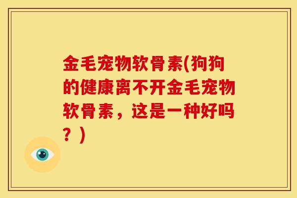 金毛宠物软骨素(狗狗的健康离不开金毛宠物软骨素，这是一种好吗？)