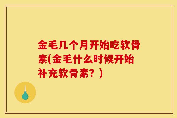 金毛几个月开始吃软骨素(金毛什么时候开始补充软骨素？)
