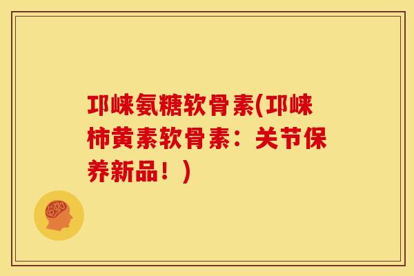 邛崃氨糖软骨素(邛崃柿黄素软骨素：关节保养新品！)