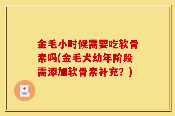 金毛小时候需要吃软骨素吗(金毛犬幼年阶段需添加软骨素补充？)