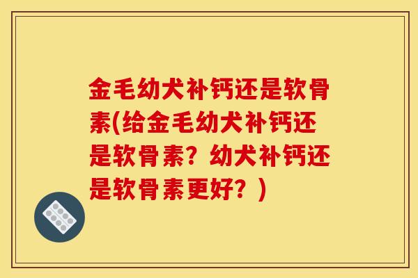 金毛幼犬补钙还是软骨素(给金毛幼犬补钙还是软骨素？幼犬补钙还是软骨素更好？)