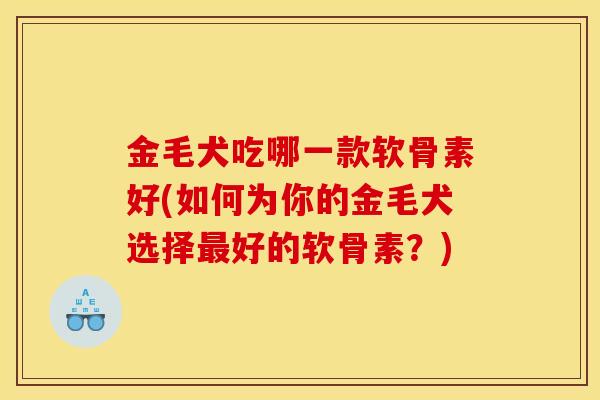 金毛犬吃哪一款软骨素好(如何为你的金毛犬选择最好的软骨素？)