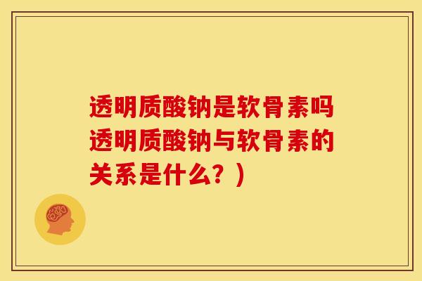 透明质酸钠是软骨素吗透明质酸钠与软骨素的关系是什么？)