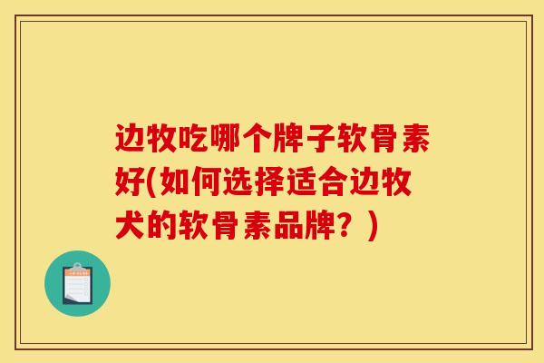 边牧吃哪个牌子软骨素好(如何选择适合边牧犬的软骨素品牌？)