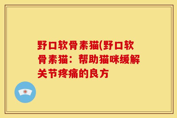 野口软骨素猫(野口软骨素猫：帮助猫咪缓解关节疼痛的良方