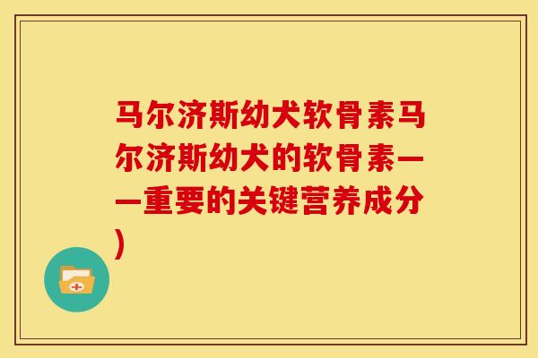 马尔济斯幼犬软骨素马尔济斯幼犬的软骨素——重要的关键营养成分)