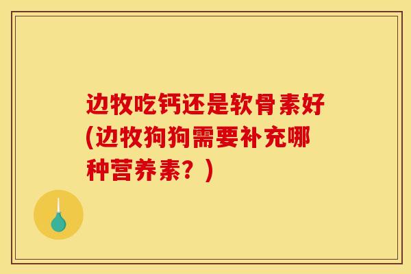 边牧吃钙还是软骨素好(边牧狗狗需要补充哪种营养素？)