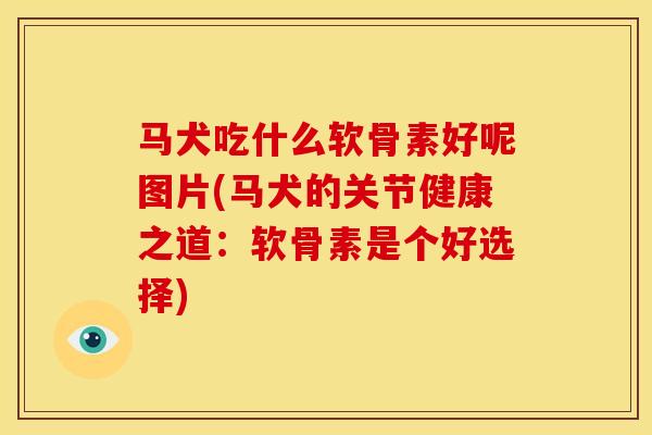 马犬吃什么软骨素好呢图片(马犬的关节健康之道：软骨素是个好选择)