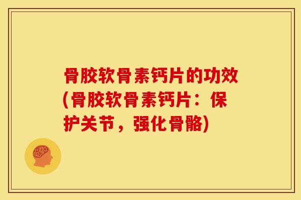 骨胶软骨素钙片的功效(骨胶软骨素钙片：保护关节，强化骨骼)