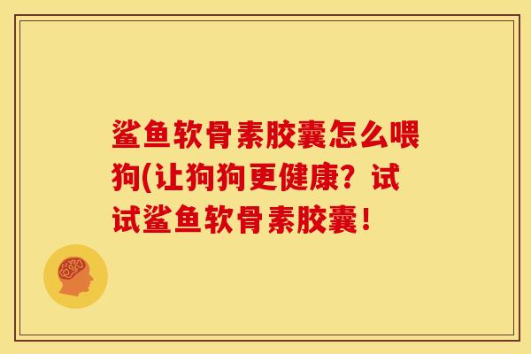 鲨鱼软骨素胶囊怎么喂狗(让狗狗更健康？试试鲨鱼软骨素胶囊！