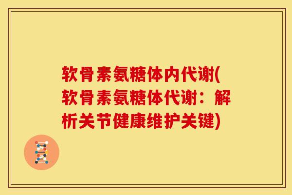 软骨素氨糖体内代谢(软骨素氨糖体代谢：解析关节健康维护关键)