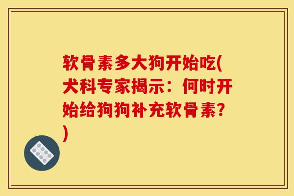 软骨素多大狗开始吃(犬科专家揭示：何时开始给狗狗补充软骨素？)