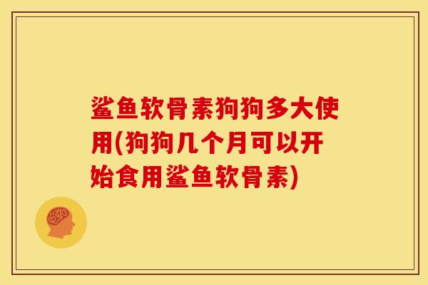 鲨鱼软骨素狗狗多大使用(狗狗几个月可以开始食用鲨鱼软骨素)-第1张图片-关节骑士 鲨鱼软骨素狗狗多大使用(狗狗几个月可以开始食用鲨鱼软骨素)-第1张图片-关节骑士
