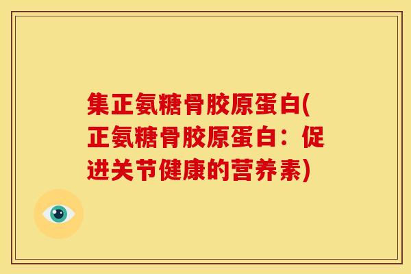 集正氨糖骨胶原蛋白(正氨糖骨胶原蛋白：促进关节健康的营养素)