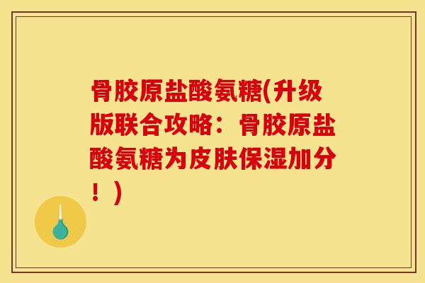 骨胶原盐酸氨糖(升级版联合攻略：骨胶原盐酸氨糖为皮肤保湿加分！)