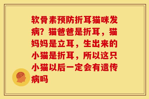 软骨素预防折耳猫咪发病？猫爸爸是折耳，猫妈妈是立耳，生出来的小猫是折耳，所以这只小猫以后一定会有遗传病吗