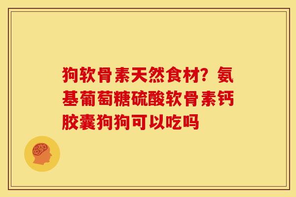 狗软骨素天然食材？氨基葡萄糖硫酸软骨素钙胶囊狗狗可以吃吗