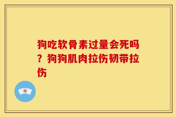 狗吃软骨素过量会死吗？狗狗肌肉拉伤韧带拉伤-第1张图片-关节骑士