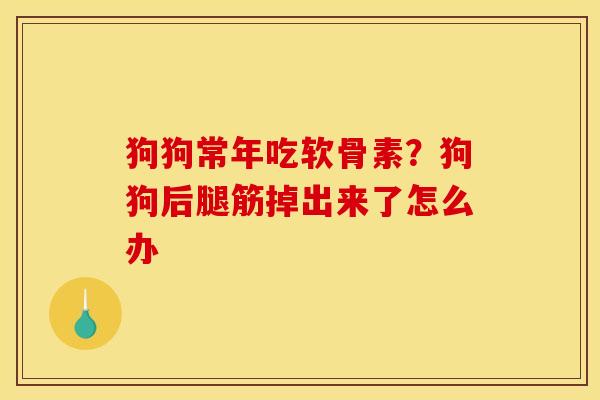 狗狗常年吃软骨素？狗狗后腿筋掉出来了怎么办