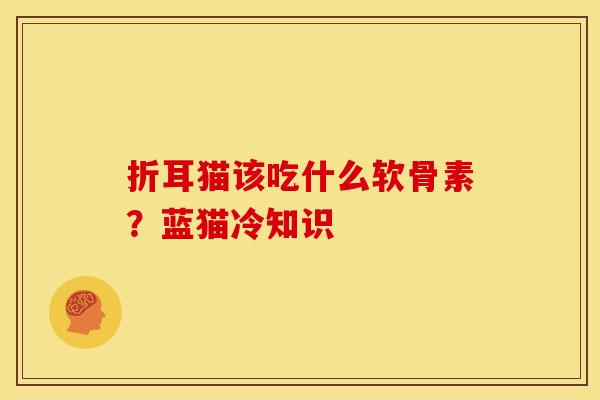 折耳猫该吃什么软骨素？蓝猫冷知识
