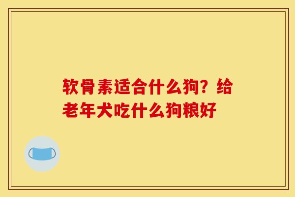 软骨素适合什么狗？给老年犬吃什么狗粮好
