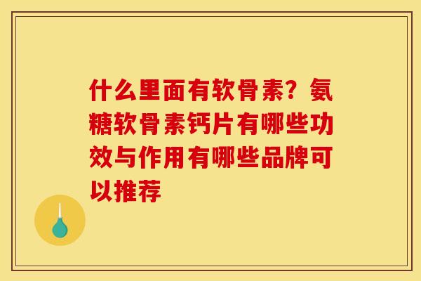 什么里面有软骨素？氨糖软骨素钙片有哪些功效与作用有哪些品牌可以推荐