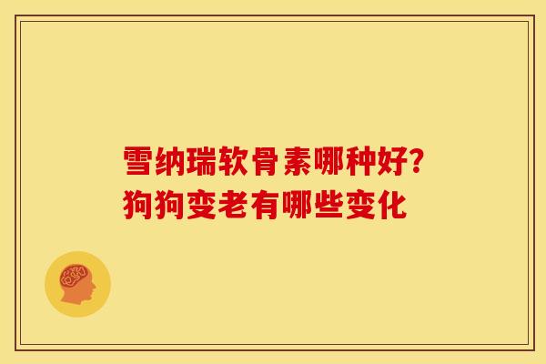 雪纳瑞软骨素哪种好？狗狗变老有哪些变化