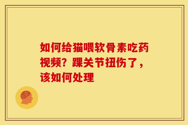 如何给猫喂软骨素吃药视频？踝关节扭伤了，该如何处理