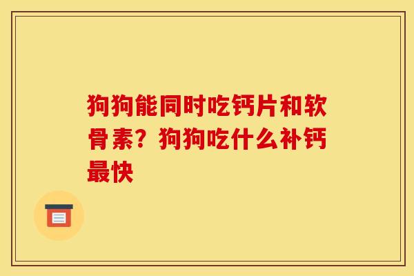 狗狗能同时吃钙片和软骨素？狗狗吃什么补钙最快