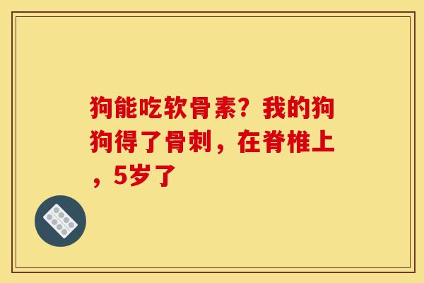 狗能吃软骨素？我的狗狗得了骨刺，在脊椎上，5岁了