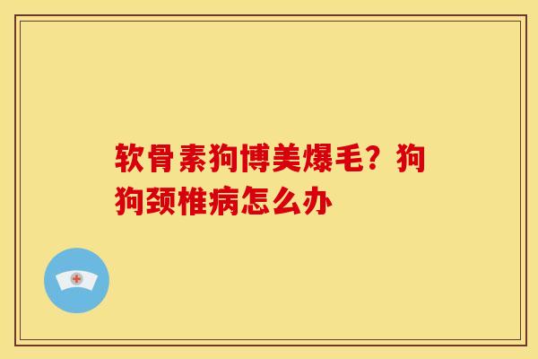 软骨素狗博美爆毛？狗狗颈椎病怎么办