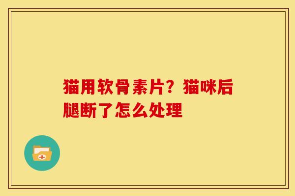 猫用软骨素片？猫咪后腿断了怎么处理