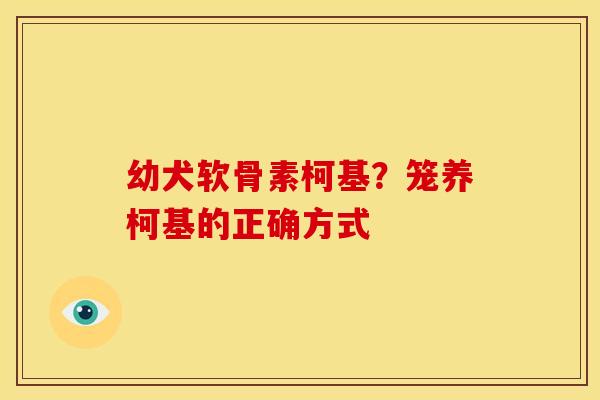 幼犬软骨素柯基？笼养柯基的正确方式