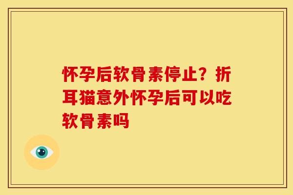 怀孕后软骨素停止？折耳猫意外怀孕后可以吃软骨素吗