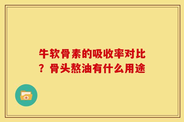 牛软骨素的吸收率对比？骨头熬油有什么用途