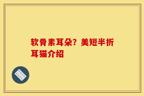 软骨素耳朵？美短半折耳猫介绍