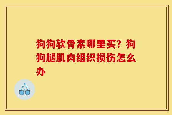 狗狗软骨素哪里买？狗狗腿肌肉组织损伤怎么办