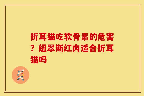折耳猫吃软骨素的危害？纽翠斯红肉适合折耳猫吗