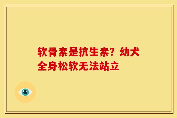 软骨素是抗生素？幼犬全身松软无法站立