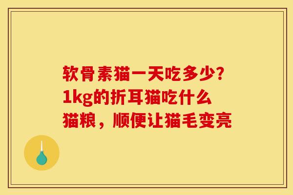 软骨素猫一天吃多少？1kg的折耳猫吃什么猫粮，顺便让猫毛变亮