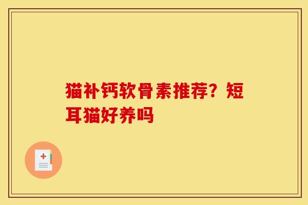 猫补钙软骨素推荐？短耳猫好养吗