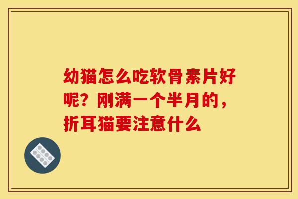 幼猫怎么吃软骨素片好呢？刚满一个半月的，折耳猫要注意什么