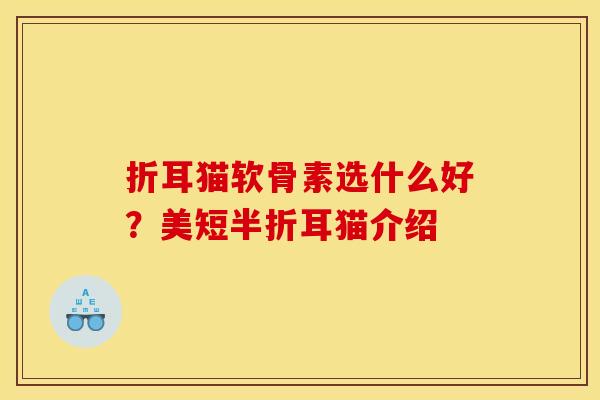 折耳猫软骨素选什么好？美短半折耳猫介绍