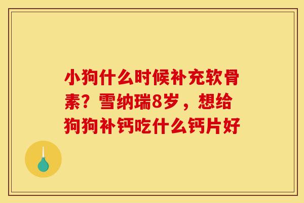 小狗什么时候补充软骨素？雪纳瑞8岁，想给狗狗补钙吃什么钙片好