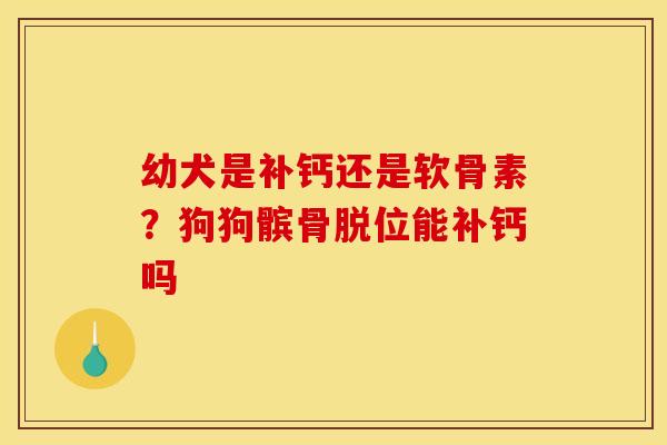 幼犬是补钙还是软骨素？狗狗髌骨脱位能补钙吗