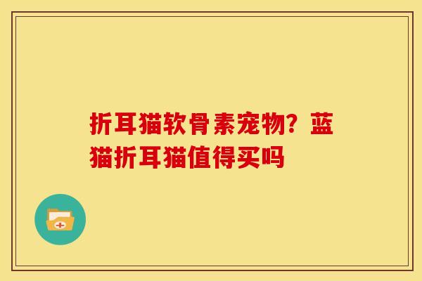 折耳猫软骨素宠物？蓝猫折耳猫值得买吗
