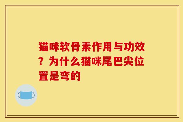 猫咪软骨素作用与功效？为什么猫咪尾巴尖位置是弯的